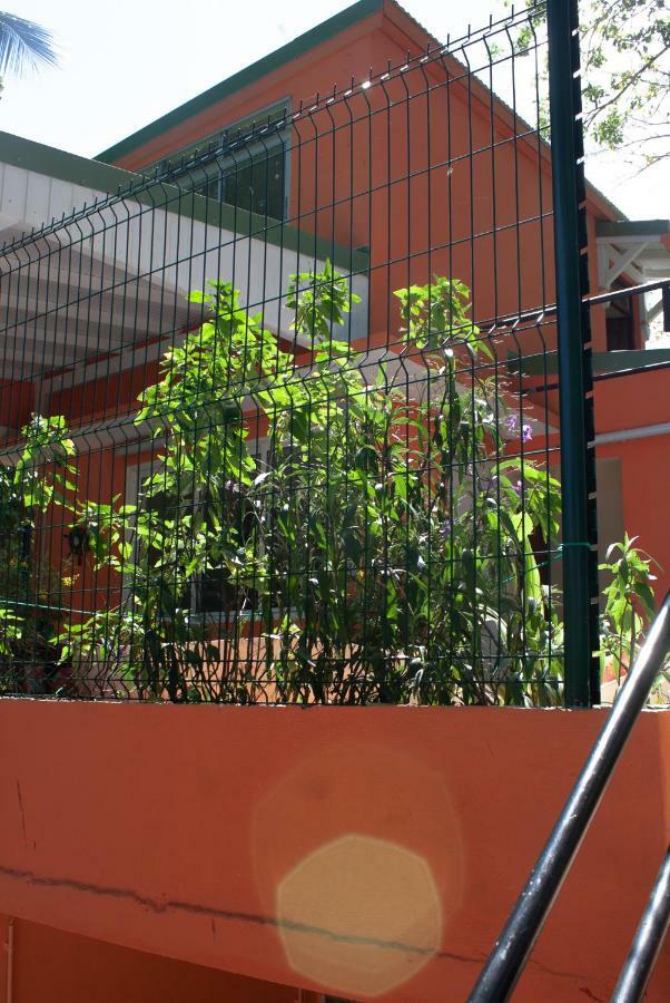Le Cocon Hotel Le Moule Exterior foto